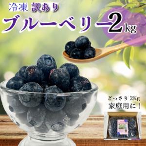 ふるさと納税 小松島市 訳あり ブルーベリー 冷凍 2kg 大粒 冷凍ブルーベリー フルーツ 人気 ...
