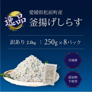 ふるさと納税 松前町 しらす 2kg 訳あり ...の詳細画像1