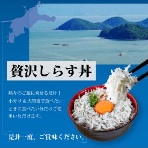 ふるさと納税 松前町 しらす 2kg 訳あり ...の詳細画像2