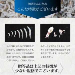 ふるさと納税 松前町 しらす 2kg 訳あり ...の詳細画像3