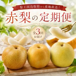 ふるさと納税 八頭町 【梨王国鳥取県産!】赤梨の定期便《2026年 計3回お届け》鳥取県 八頭町