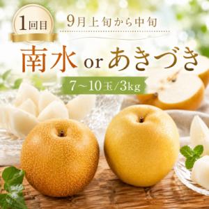 ふるさと納税 八頭町 【梨王国鳥取県産!】赤梨...の詳細画像1