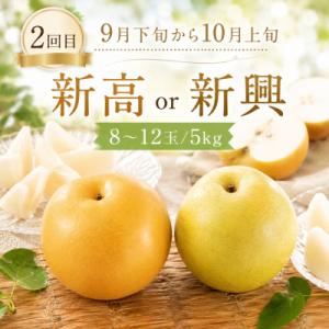 ふるさと納税 八頭町 【梨王国鳥取県産!】赤梨...の詳細画像2