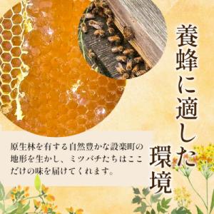 ふるさと納税 設楽町 国産純粋 無添加 百花蜂...の詳細画像2