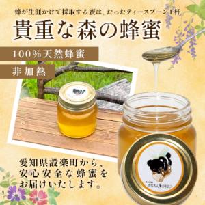 ふるさと納税 設楽町 国産純粋 無添加 百花蜂...の詳細画像3