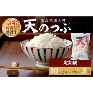 ふるさと納税 国見町 令和8年産【全3回定期便】国見町産 天のつぶ 10kg(5kg×2袋)3回 ※2026年10月〜発送