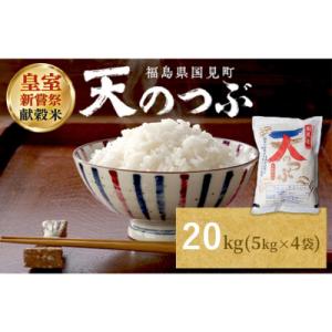 ふるさと納税 国見町 【令和8年産】米　国見町産　天のつぶ 20kg(5kg×4袋) ※2026年10月〜発送