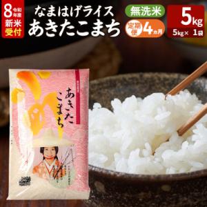 ふるさと納税 男鹿市 あきたこまち 新米 なまはげライス 無洗米 5kg 定期4ヶ月|23_ysu-330504s