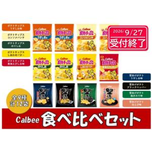 ふるさと納税 各務原市 カルビー　ポテトチップス　堅あげポテト　食べ比べセット　全9種　12袋【13...