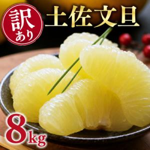 ふるさと納税 愛南町 【先行予約:2026年12月中旬〜発送】 訳あり 土佐文旦 8kg くらもとフ...