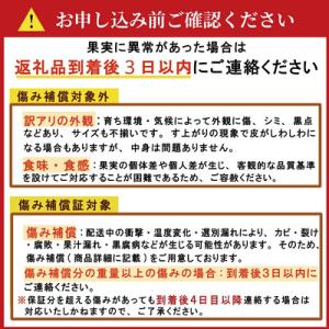 ふるさと納税 愛南町 【先行予約:2026年1...の詳細画像2