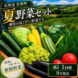 ふるさと納税 美瑛町 【令和8年産】旬の野菜7〜9種の詰め合わせセット 9月発送 美景農園
