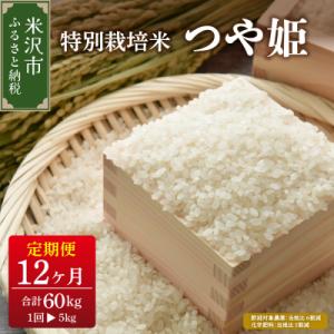 ふるさと納税 米沢市 【先行予約】12ヶ月定期便 令和8年産 つや姫 5kg × 12回 計 60kg 特別栽培米