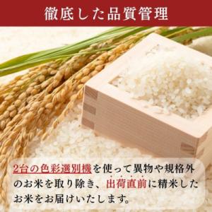 ふるさと納税 飯山市 【先行予約】《 令和8年...の詳細画像2