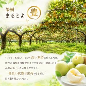 ふるさと納税 八頭町 新甘泉(赤秀) 2.5k...の詳細画像2