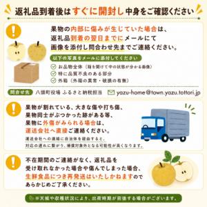 ふるさと納税 八頭町 新甘泉(赤秀) 2.5k...の詳細画像3