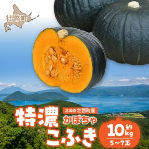 ふるさと納税 壮瞥町 〈10月上旬よりお届け〉北海道壮瞥町産 かぼちゃ 特濃こふき5〜7玉 約10K...