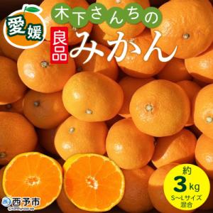 ふるさと納税 西予市 <木下さんちのみかん 良品 約3kg柑橘類 温州みかん 愛媛 木下農園>