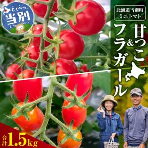 ふるさと納税 当別町 北海道当別町産化学農薬不使用ミニトマト:甘っこ750g+フラガール750g_t...