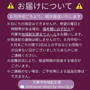ふるさと納税 宍粟市 横野さん家の「完熟ぶどう...の詳細画像2
