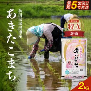 ふるさと納税 湯沢市 令和7年産　秋田県産あきたこまち　精米2kg[J17201]