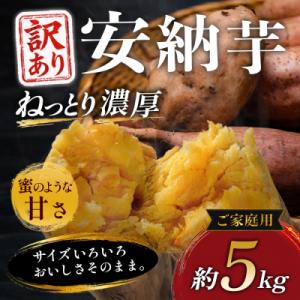 ふるさと納税 大月町 【訳あり】さつまいも 熟成 安納芋 約5kg 国産 安納いも スイーツ おやつ 栽培期間中農薬不使用