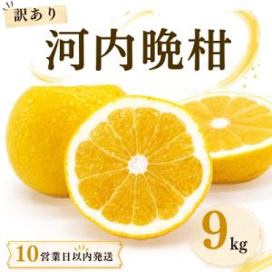 ふるさと納税 愛南町 【10営業日以内発送】訳あり 河内晩柑 ばんかん 約 9kg 不揃い マルエム...