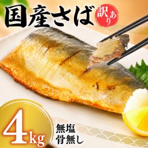 ふるさと納税 下関市 【7営業日以内発送】訳あり...の商品画像