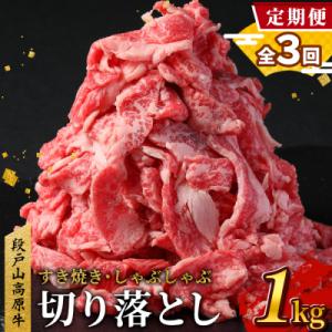 ふるさと納税 設楽町 【定期便 全3回】国産 段戸山高原牛 切り落とし 計3回(1kg×3回)牛 牛...