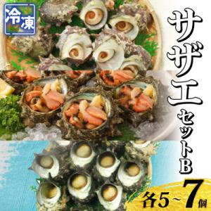 ふるさと納税 下関市 冷凍 さざえセットB (冷凍スチーム&amp;お造り&amp;つぼ焼き) 下関 《さわ水産:S...