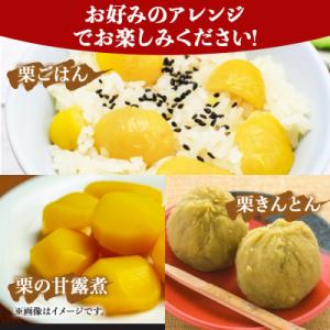 ふるさと納税 西予市 <中生栗 栗 約3...の詳細画像2