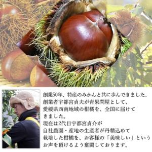 ふるさと納税 西予市 <中生栗 栗 約3...の詳細画像3