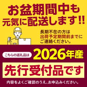 ふるさと納税 芽室町 【先行受付】北海道十勝芽...の詳細画像1