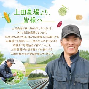 ふるさと納税 芽室町 【先行受付】北海道十勝芽...の詳細画像3