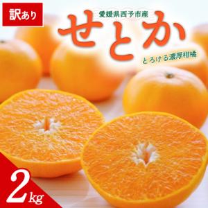 ふるさと納税 西予市 【先行受付】<訳あり 愛媛県産 せとか 約2kg>ミヤモトオレンジガーデン え...
