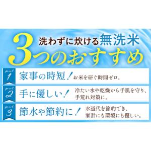 ふるさと納税 南阿蘇村 令和7年産 米 無洗米...の詳細画像2