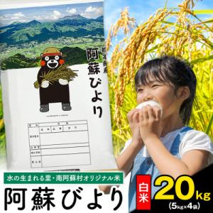 ふるさと納税 南阿蘇村 阿蘇びより 白米 20kg (5kg×4袋) 熊本県産 《7-14日以内に出荷(土日祝を除く)》