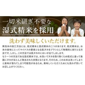 ふるさと納税 南阿蘇村 【12ヶ月定期便】阿蘇...の詳細画像1