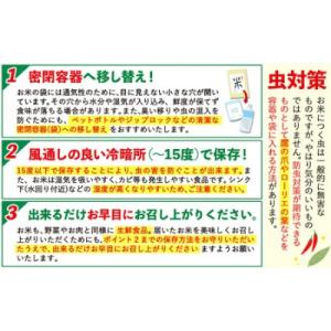 ふるさと納税 南阿蘇村 【12ヶ月定期便】阿蘇...の詳細画像2