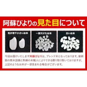 ふるさと納税 南阿蘇村 【12ヶ月定期便】阿蘇...の詳細画像3