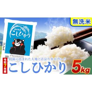 ふるさと納税 南阿蘇村 令和7年産 こしひかり 無洗米  5kg 《7-14日以内に出荷予定(土日祝除く)》