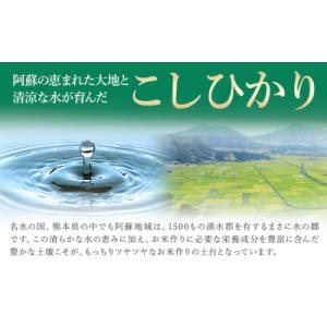 ふるさと納税 南阿蘇村 令和7年産 こしひかり 無洗米  20kg 精米 《1-5日以内に出荷予定(土日祝除く)》