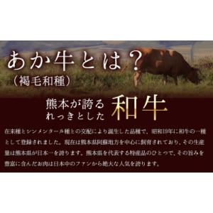 ふるさと納税 南阿蘇村 あか牛ヒレステーキ 牛肉 450g (150g x3) 《90日以内に出荷予...