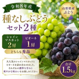 ふるさと納税 山形市 山形産 種なしぶどうセット2種 秀品 合計1.5kg FY26-173
