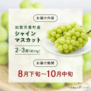 ふるさと納税 加賀市 シャインマスカット 約1...の詳細画像3