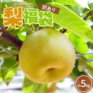 ふるさと納税 加賀市 梨 福袋 5kg 旬の品種...の商品画像