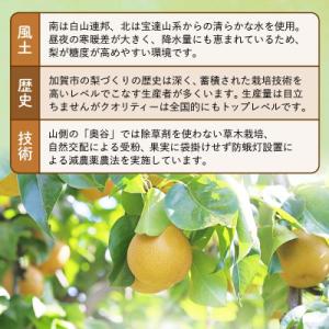 ふるさと納税 加賀市 梨 福袋 5kg 旬の品...の詳細画像3
