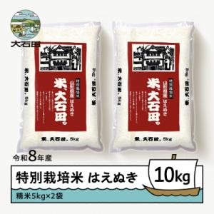 ふるさと納税 大石田町 【先行予約】 新米 米 はえぬき 10kg 精米 令和8年産 特別栽培米 2027年1月下旬発送