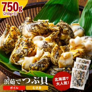 ふるさと納税 えりも町 浜茹でつぶ貝750g【er001-132】
