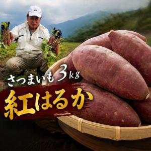 ふるさと納税 豊後高田市 さつまいも紅はるか 3kg | 焼き芋に最適 さつまいも紅はるか